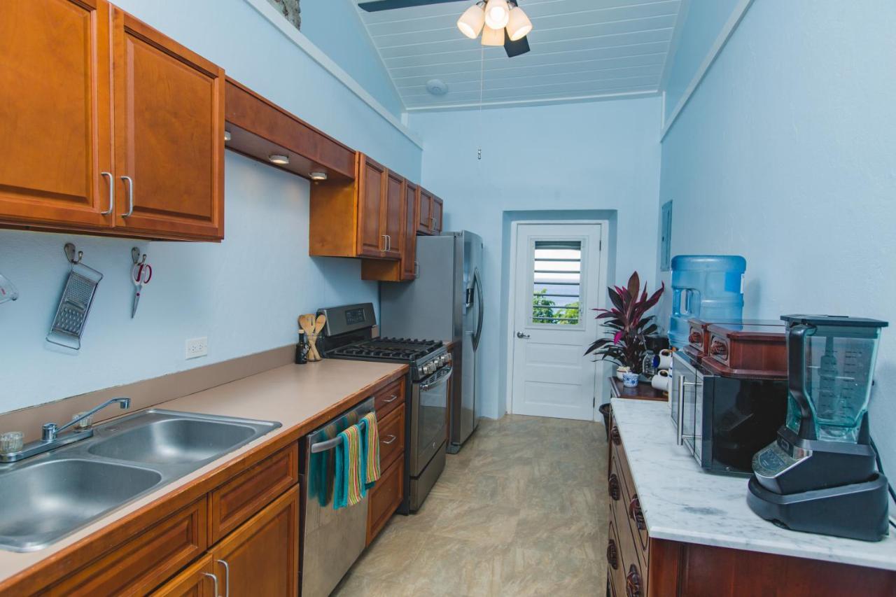 Feather Leaf Inn Frederiksted Экстерьер фото