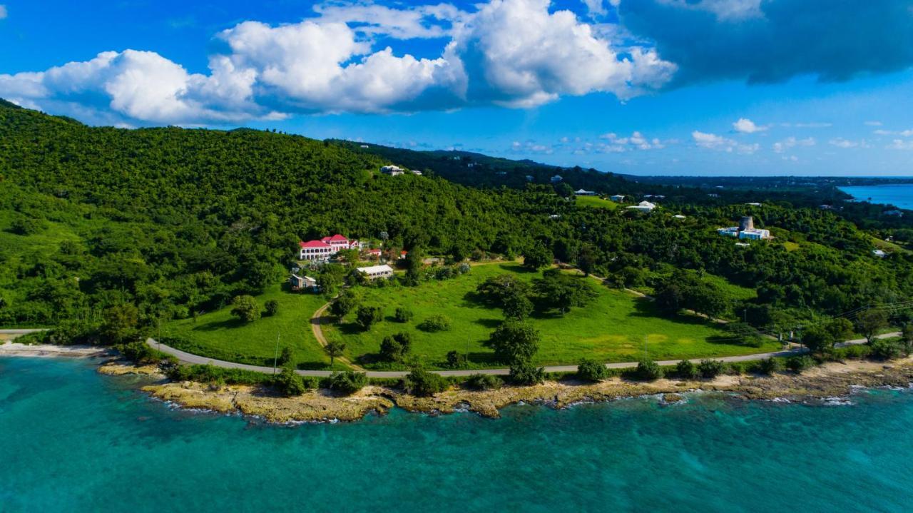 Feather Leaf Inn Frederiksted Экстерьер фото